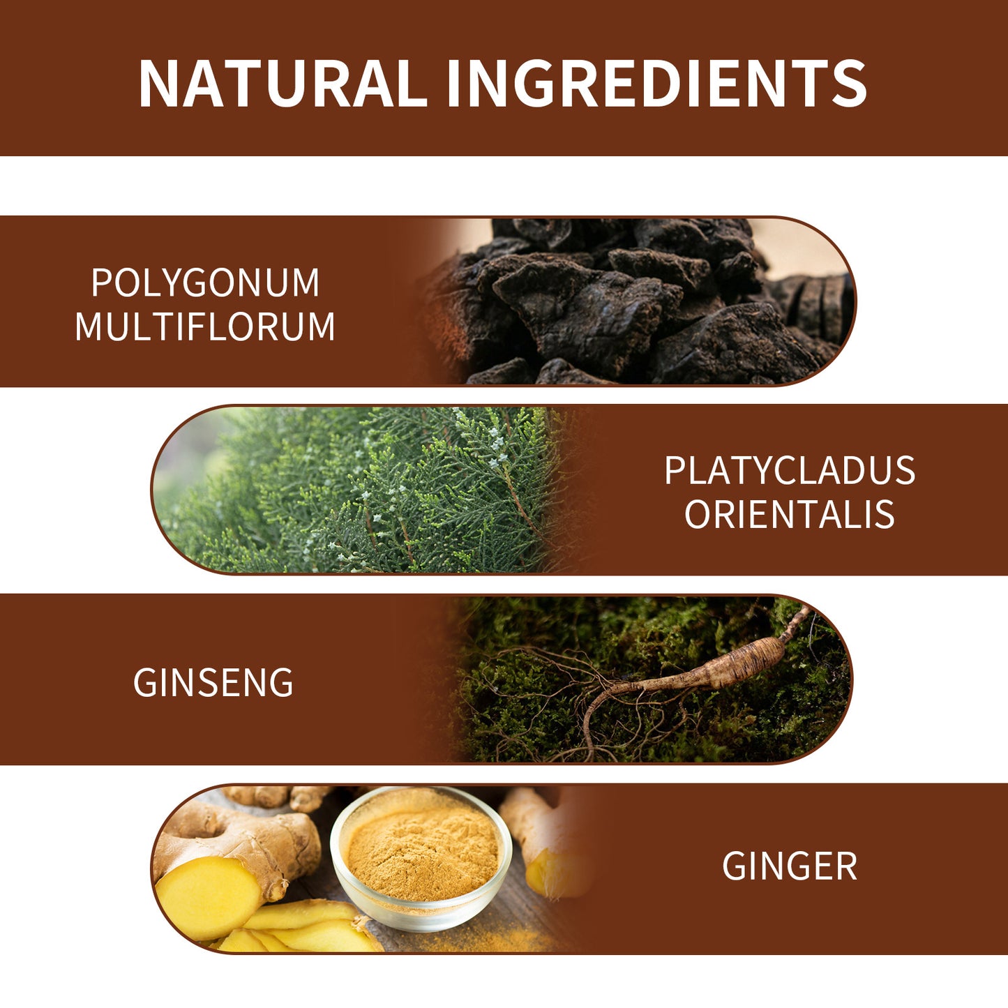 Polygonum Hair Darkening Shampoo Bar Soap